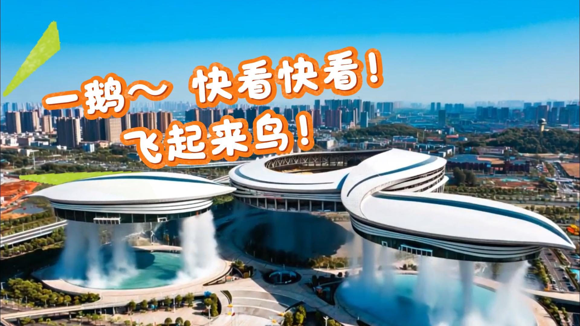 一鹅~快看快看！飞起来鸟！