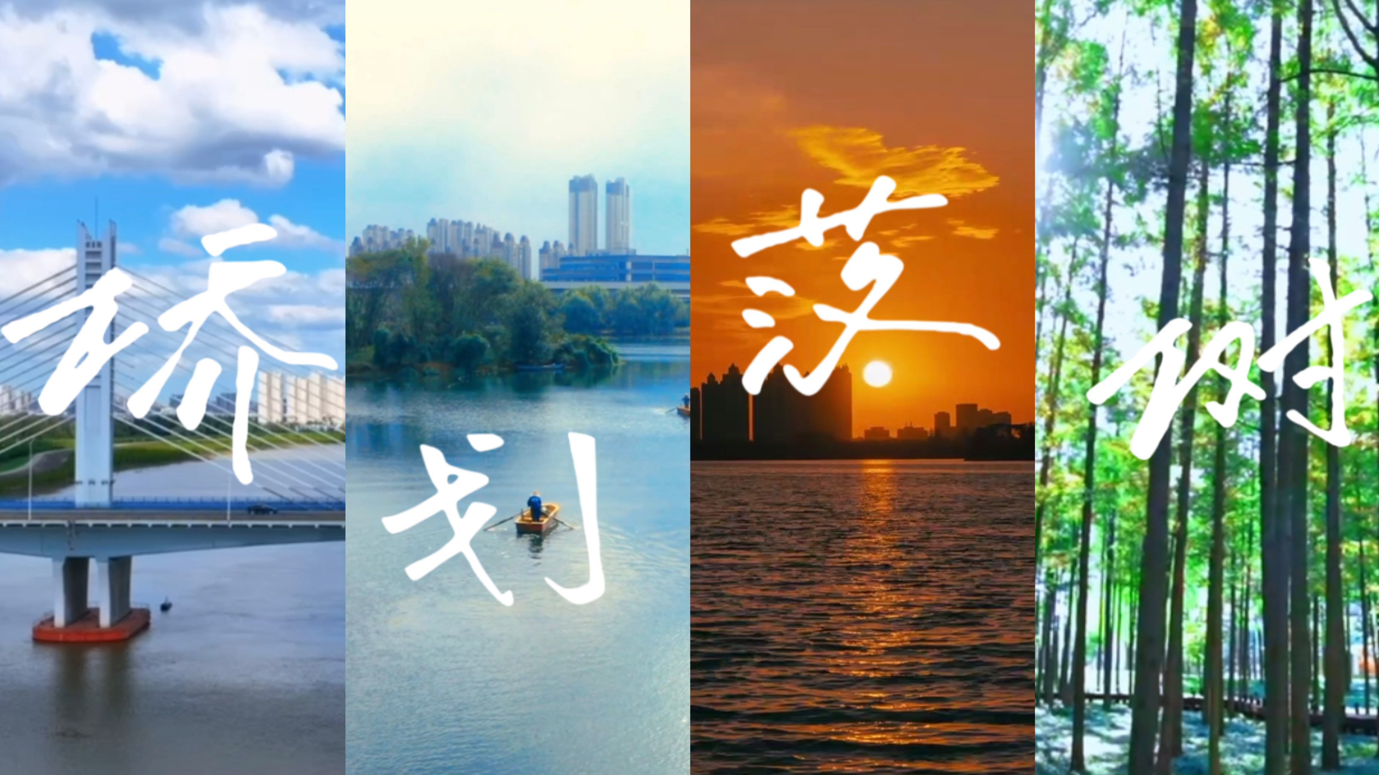 当“野生”汉字的风吹到了欧博
，一起来看！